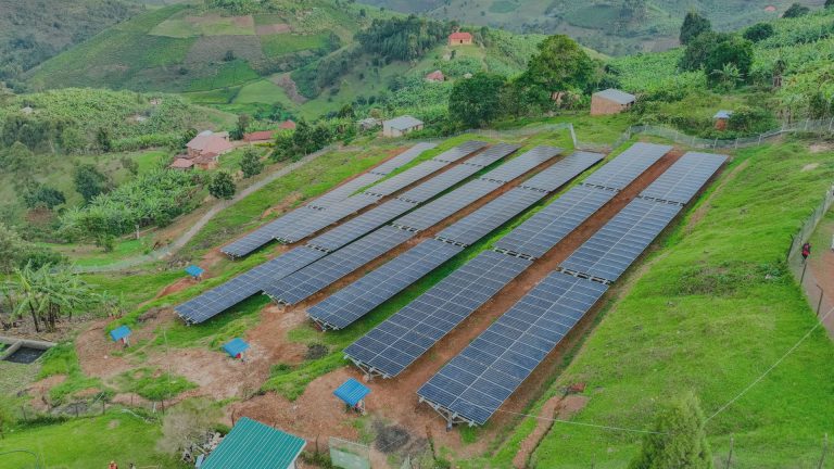 SOLAR ENERGY FOR UGANDAN TEA: EMPOWERING 7000 INDEPENDENT FARMERS